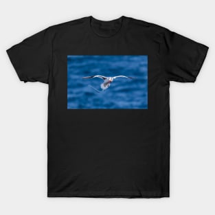 Tropic Bird T-Shirt